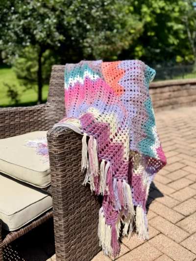 IMG_6021 Dragonfly Fields Chevron Blanket