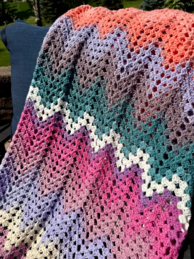 IMG_6044 Dragonfly Fields Chevron Blanket