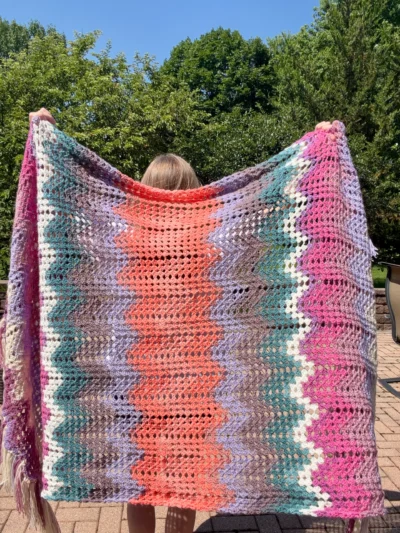 IMG_6048 Dragonfly Fields Chevron Blanket