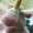 Daisy Glitterbomb Unicorn Plushie