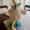 Daisy Glitterbomb Unicorn Plushie from Back