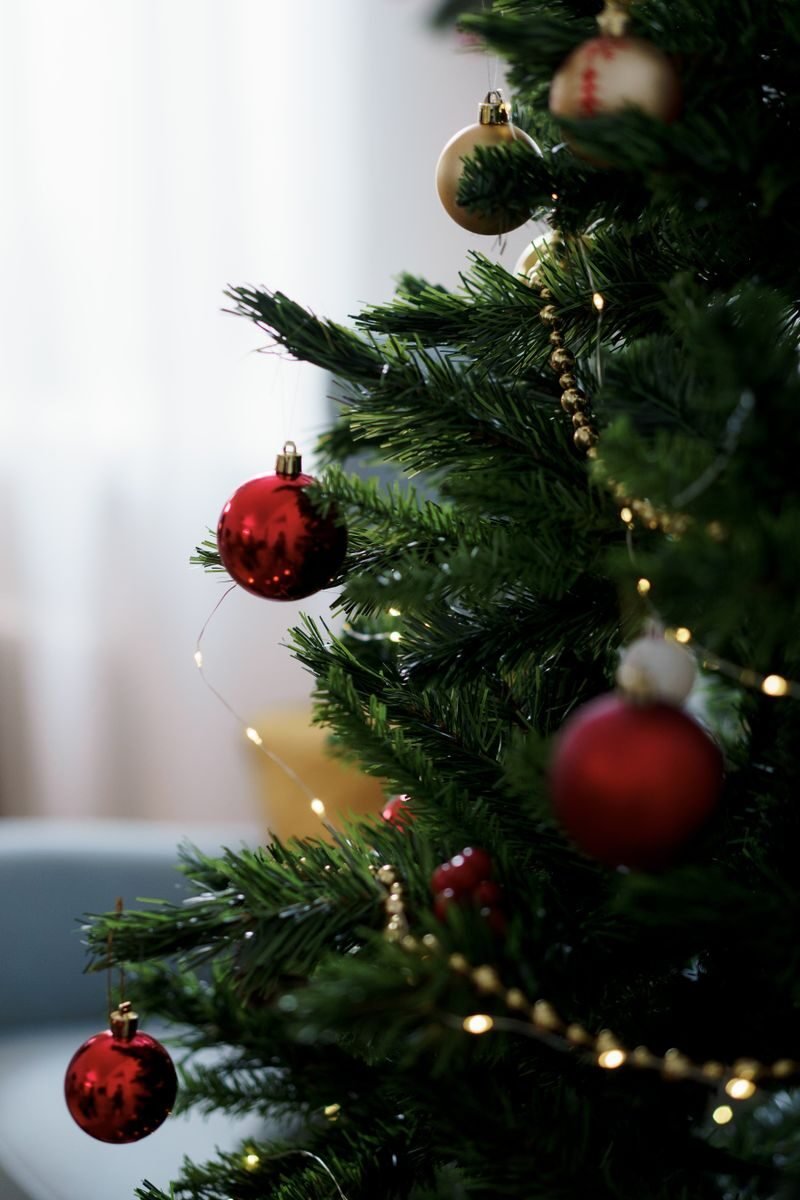 christmas tree for the holidays